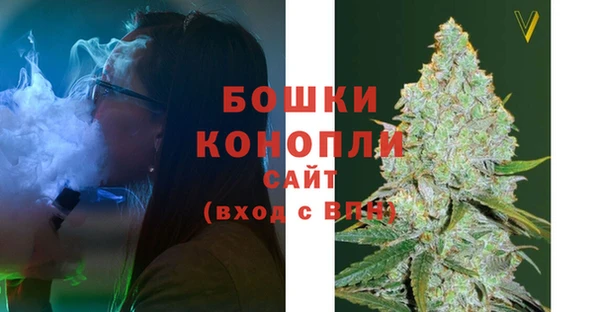 молекула духа Белоозёрский