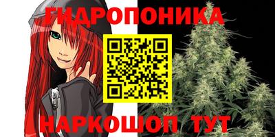 первитин Новозыбков