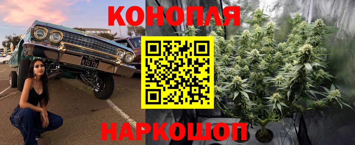 Бошки Шишки AK-47  Вход с VPN  Маркс  МАРИХУАНА AK-47  Шишки марихуана планчик 